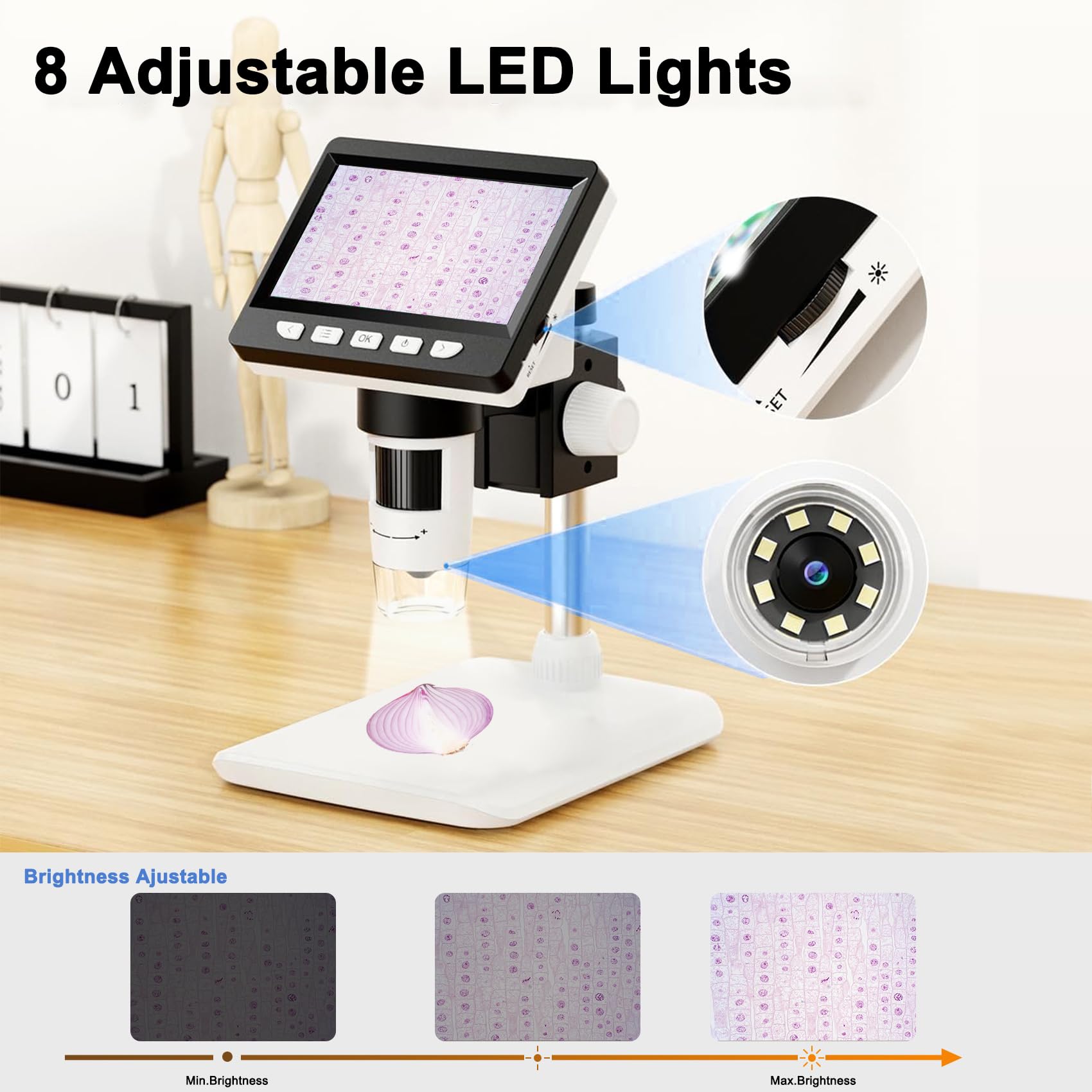 Listone Mikroskop, LCD Digital Mikroskop,4,3-Zoll USB Mikroskop mit 8 einstellbaren LED-Licht,50X-1000X Auflösung,PC-Ansicht,Kompatibel mit MacOS Windows