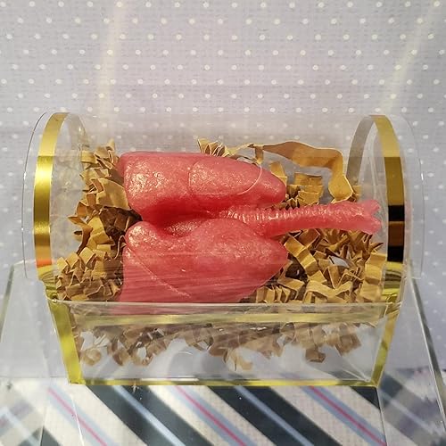 Miniatura 5 de Moldes de silicona con forma de órganos humanos, 8 unidades, molde de silicona para cerebro y corazón, para hígado, pulmón intestinal, chocolate