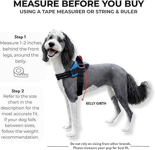 Miniatura 5 de ShawnCo Arnés esencial para perro, chaleco sin tirones para mascotas con 3 clips para correa, sin estrangulamiento, reflectante, ajustable