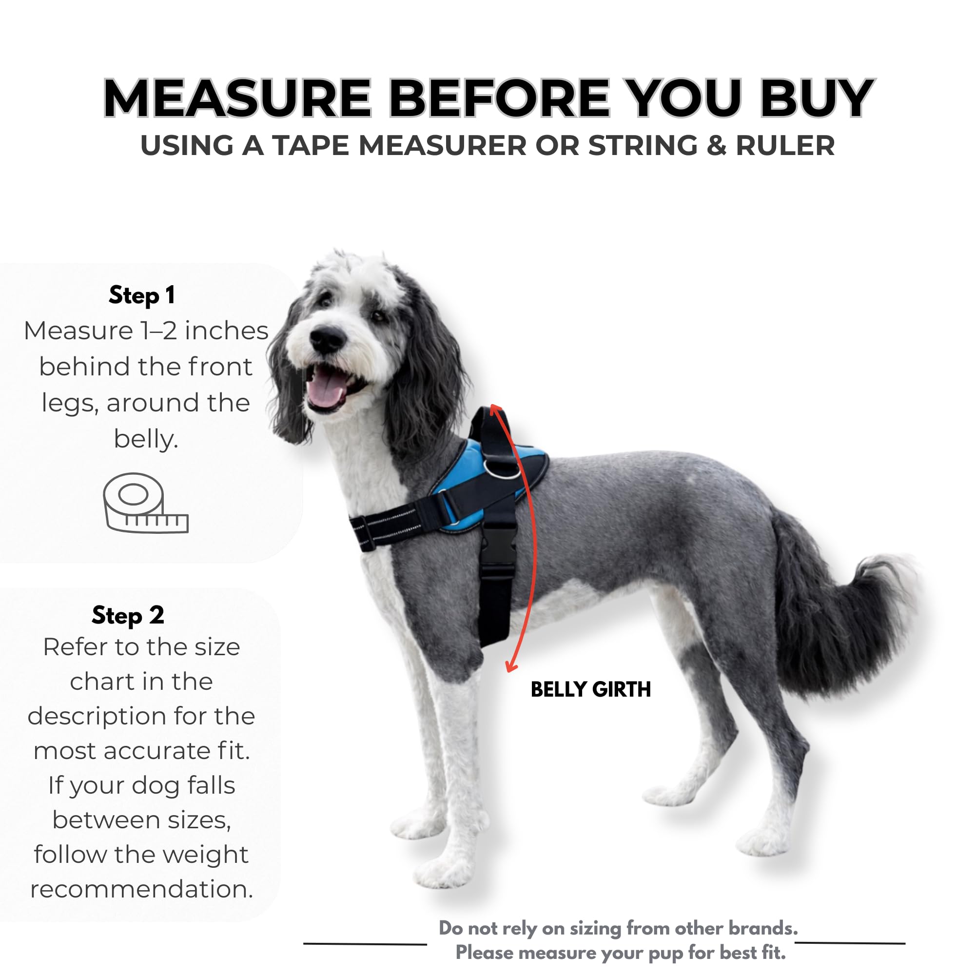 ShawnCo Essential Dog Harness, No-Pull Pet Vest with 3 Leash Clips, No Choke, Reflective, Adjustable and Padded, for Easy Walking and Training for Small, Medium and Large Dogs (Seafoam, M) - image 5