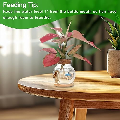 Miniatura 5 de Estación de propagación de plantas, tarros de vidrio hidropónico, con platillo de madera para escritorios, casas, decoraciones de jardín, decoración