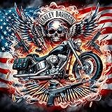 SunatureDP Sunature Diamond Painting Art Full Square Round Drills Motorcycle Skeleton Flag Wing Diamond Painting Kit 50X50cm(19.7''X19.7'') (Full Round Drill), SNF00988