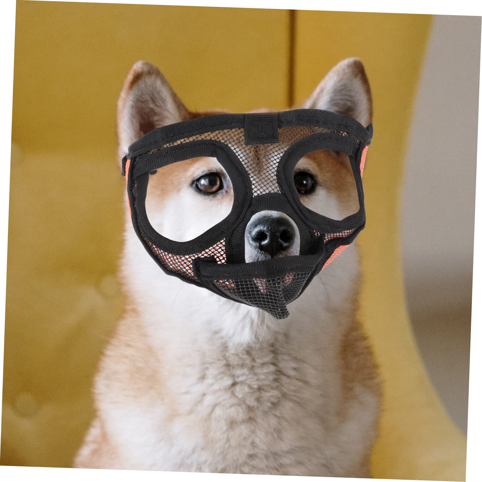 INOOMP 3pièces Muselière pour Chien Respirante Maille Ajustable Anti-aboiement Et Anti-Morsure Confortable Et pour Animaux De Compagnie