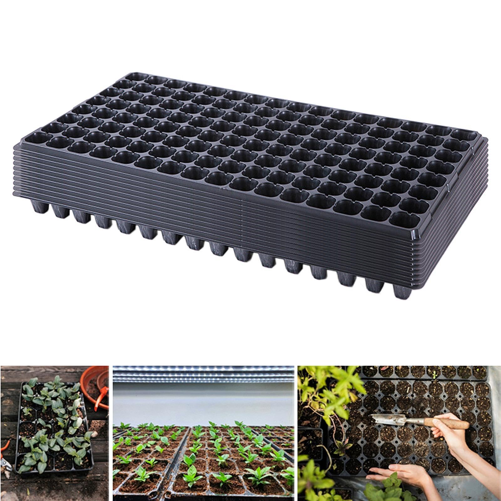10 Piezas Bandejas para Semillero Bandejas de Germinación Bandejas para Plántulas Bandejas para Cultivo Material Resistente Adecuado para, 128 Agujeros