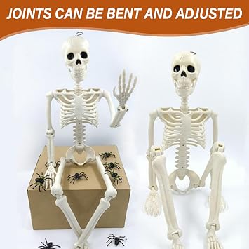 Halloween Skeleton 16inch Small Skeleton Realistic Plastic with Movable Joints Full Body Decor for Haunted House Props Halloween Decorations