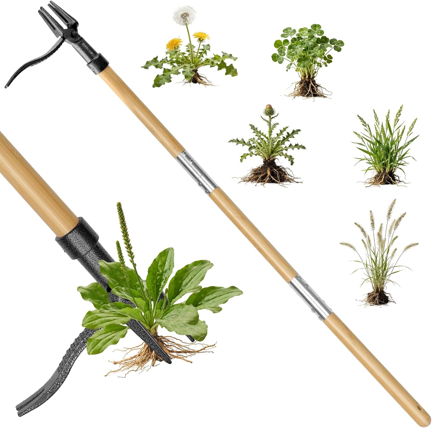 Stand Up Weed Puller Tool - 4-Claw Steel Head, 31"-44.5" Adjustable Long Handle, Heavy Duty Garden Weeder with Foot Pedal, Easy Root Removal for Lawn, Yard, Garden & Flower Bed