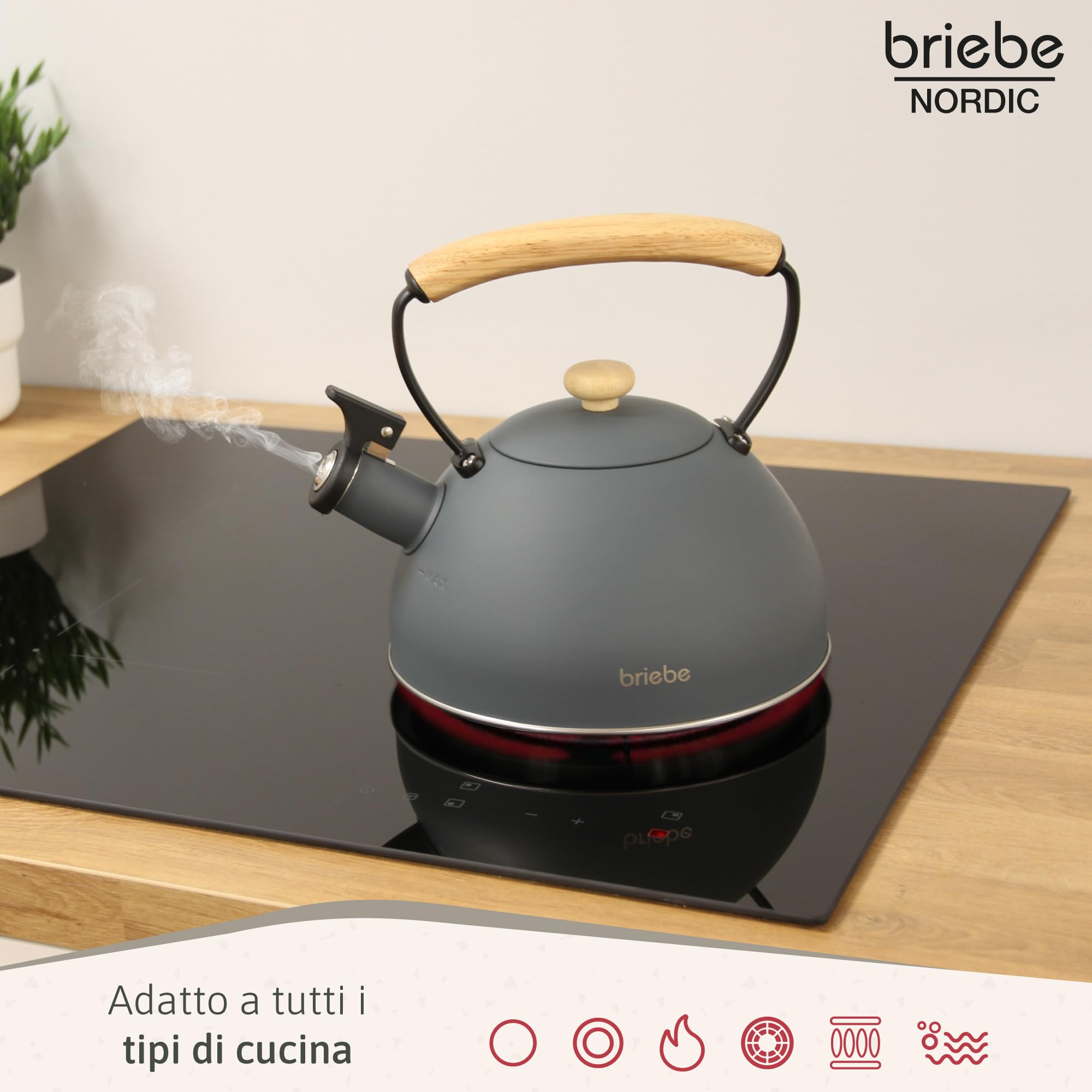briebe Nordic Tostapane a Fessura Larga a 2 Fette, 6 Livelli di Tostatura, Pinze + Bollitore Induzione a Fischio 2,3 L, Acciaio Inossidabile, Senza BPA, Set Colazione Design Nordique Grigio