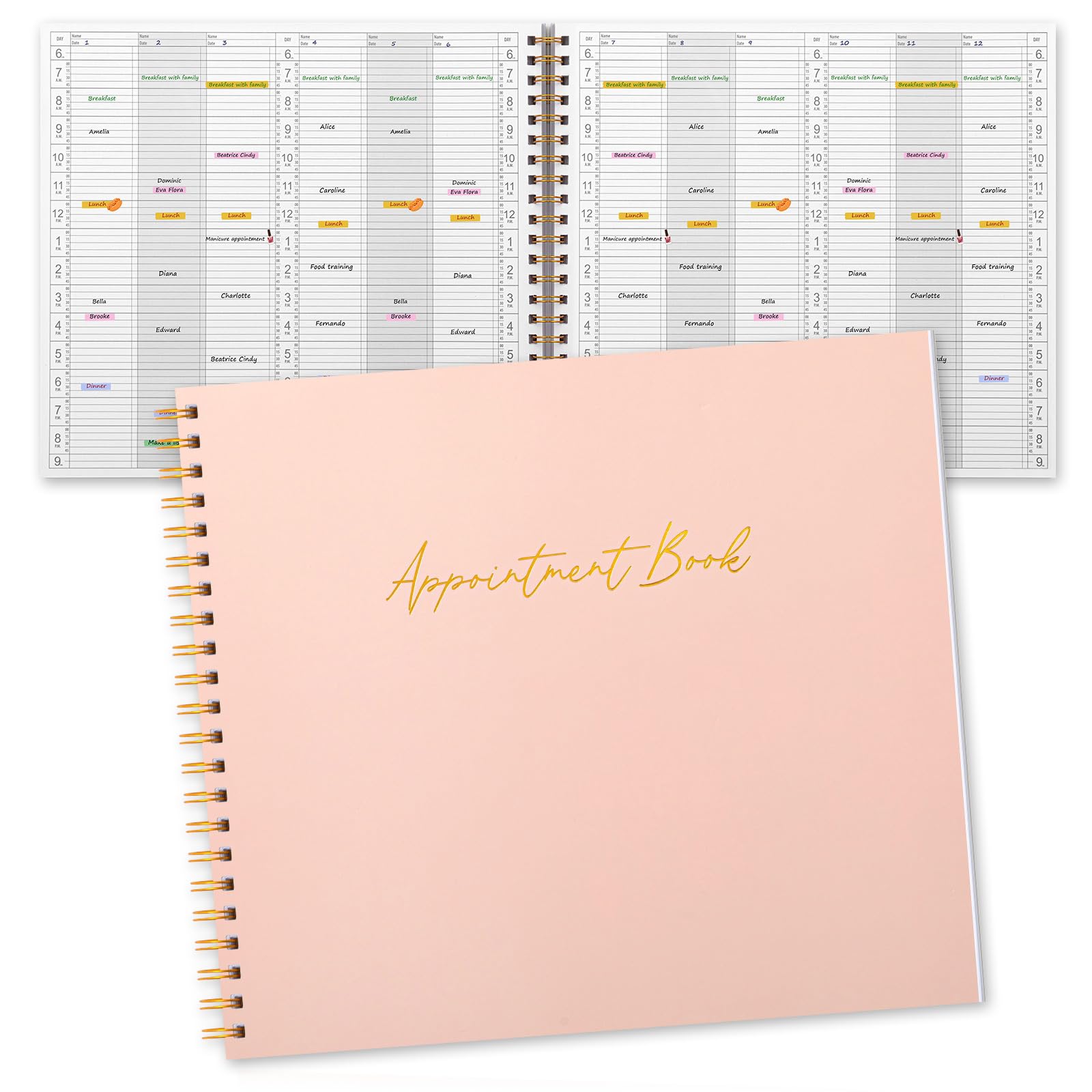 Maitys 2026 Large 6 Column Appointment Book for Salon Business, Hourly Schedule Planner 15 Minute Interval, 200 Pages Undated 6 Am 9 Pm Spiral Bound Checklist Organizer Notebook(Pink, Minimalist)