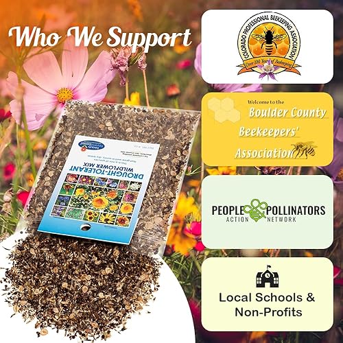 Miniatura 6 de Semillas de flores silvestres tolerantes a la sequía, 4 onzas, mezcla de semillas de flores a granel de polinización abierta para hermosas flores de