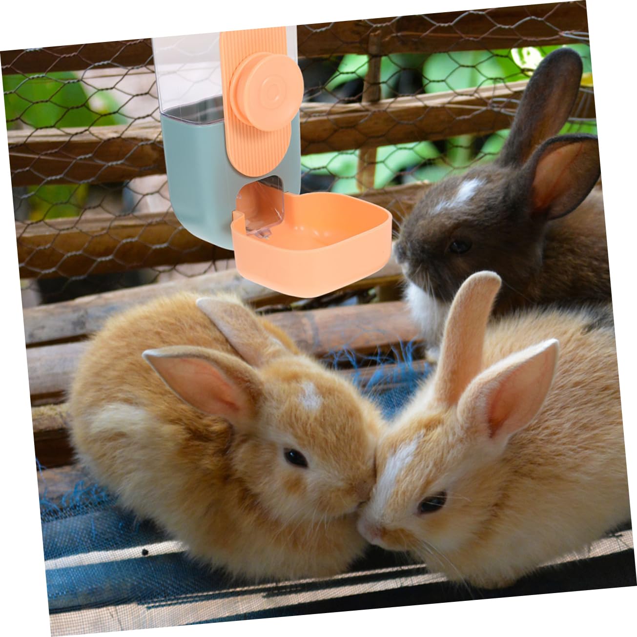 SUPVOX Comedero Automático Conejos Colgante Dispensador Agua Práctica para Mascotas Doméstico