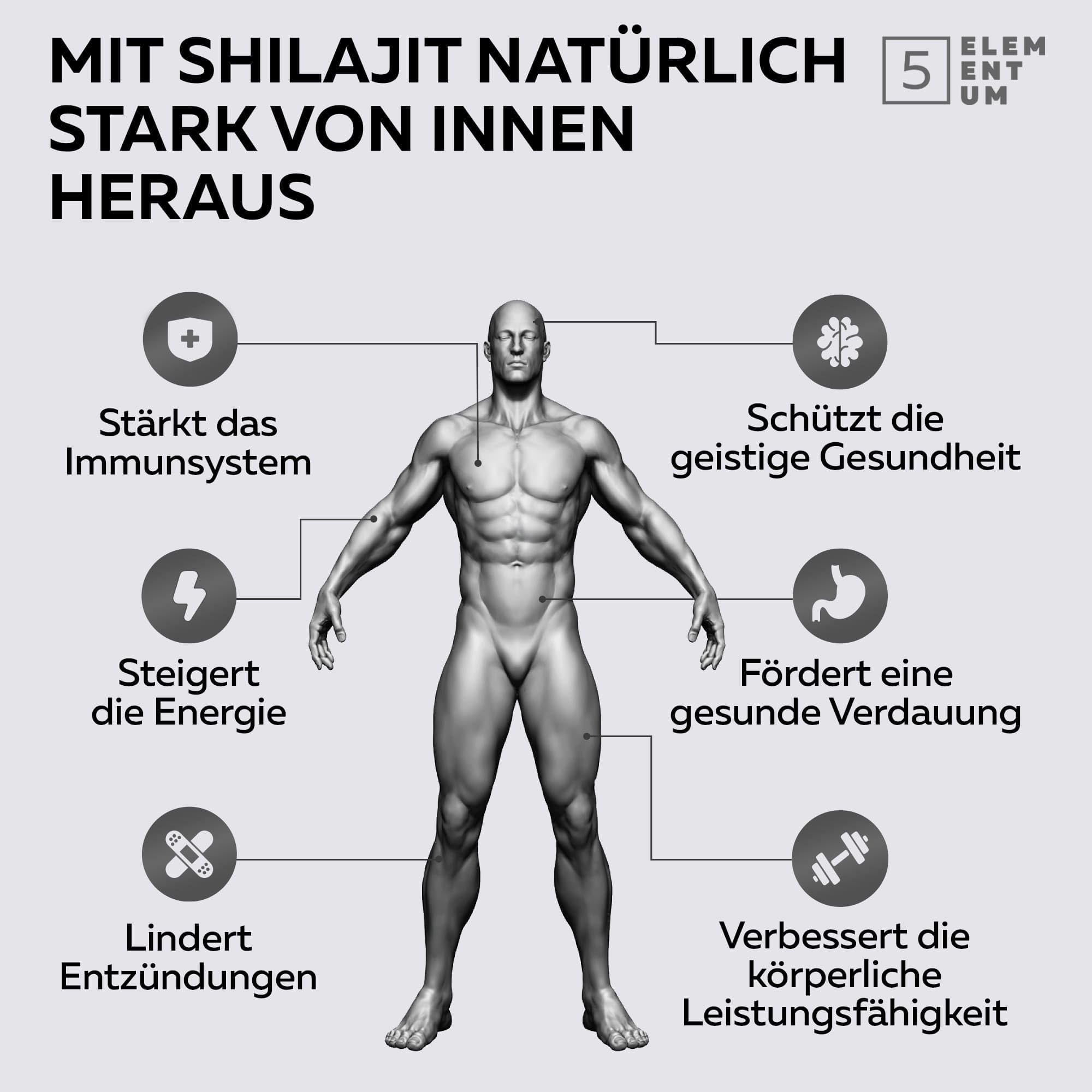 Shilajit Original Himalaya – 90.000 mg | 180 Tabletten | Reines Shilajit Original Mumijo Reich an 82% Fulvinsäure | Handgefertigt