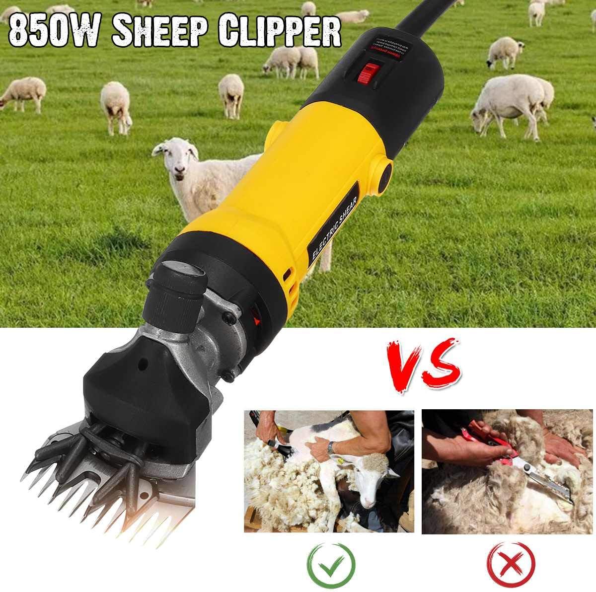 attrezzature per la tosatura delle pecore