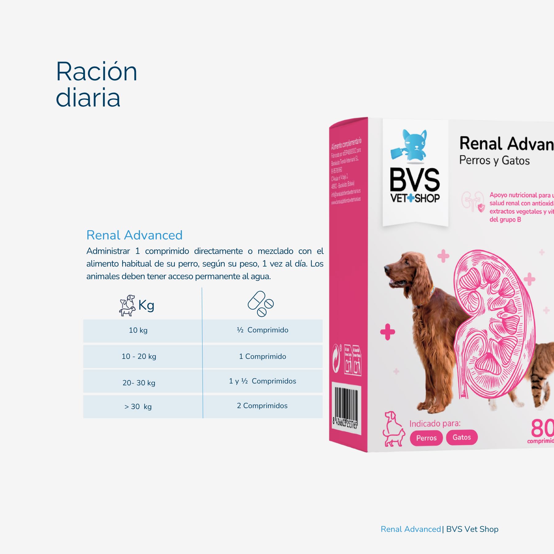BVS Vet Shop | Renal Advanced para Perros y Gatos | para una Buena Salud renal con antioxidantes, extractos Vegetales y vitaminas del Grupo B | 80 Comprimidos