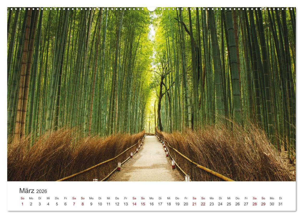 Japanischer Herbst und Laub (Wandkalender 2026 DIN A2 quer), CALVENDO Monatskalender: Medizin für die Seele (CALVENDO Natur)