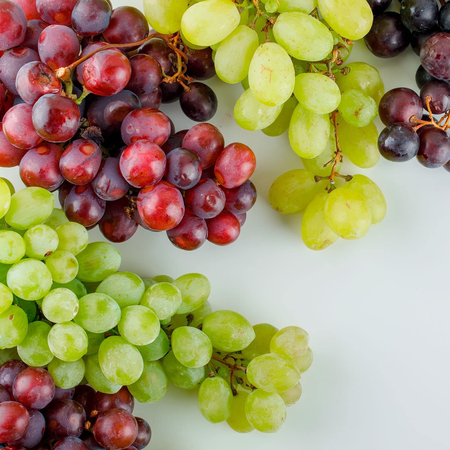Frische kernlose Trauben sehr süß | blau, rosé und grün | 1 kg (Sultana Trauben)