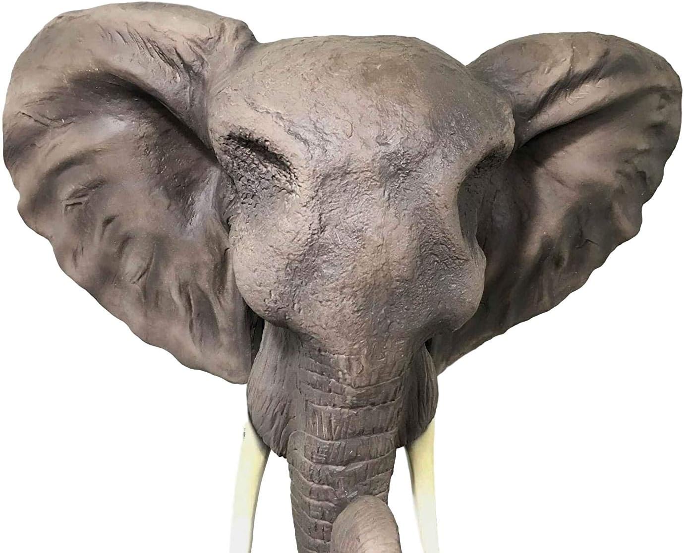 Ebros Large 19"Wide Majestic Safari Pachyderm Male Tusked Elephant Hanging Wall Head Decor Sculpture Plaque Auspicious Symbol Of Nobility Strength And Prosperity Wildlife Elephants For Nature Lovers