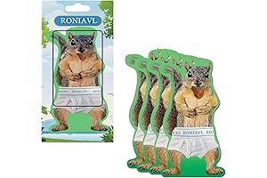 Squirrel in Underpants Deluxe Air Freshener (4Pcs) - Prevent Unpleasantness