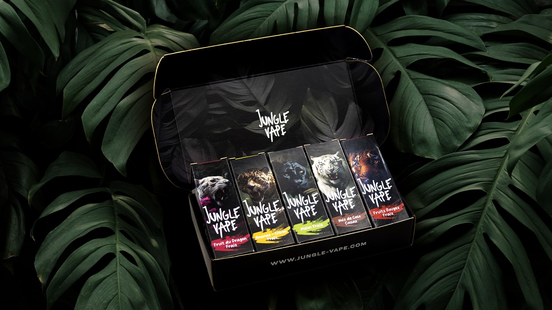 E-liquide Jungle Vape - Pack Dcouverte Wild Collection 10ML - Sans  Nicotine - Saveurs Fruites Frais et Gourmandes pour Cigarettes  lectroniques - Made in France : Amazon.fr: High-Tech