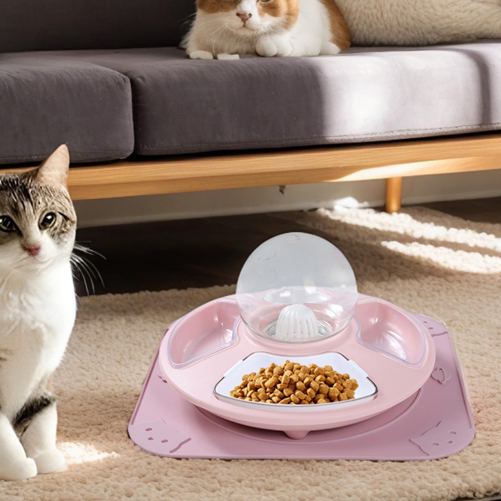 Katzennäpfe Rutschfest Sicher | Kitten Trinknapf Fütterungsroutine vom Tierarzt Innenbereich Wohnung Wohnzimmer Schlafzimmer Balkon
