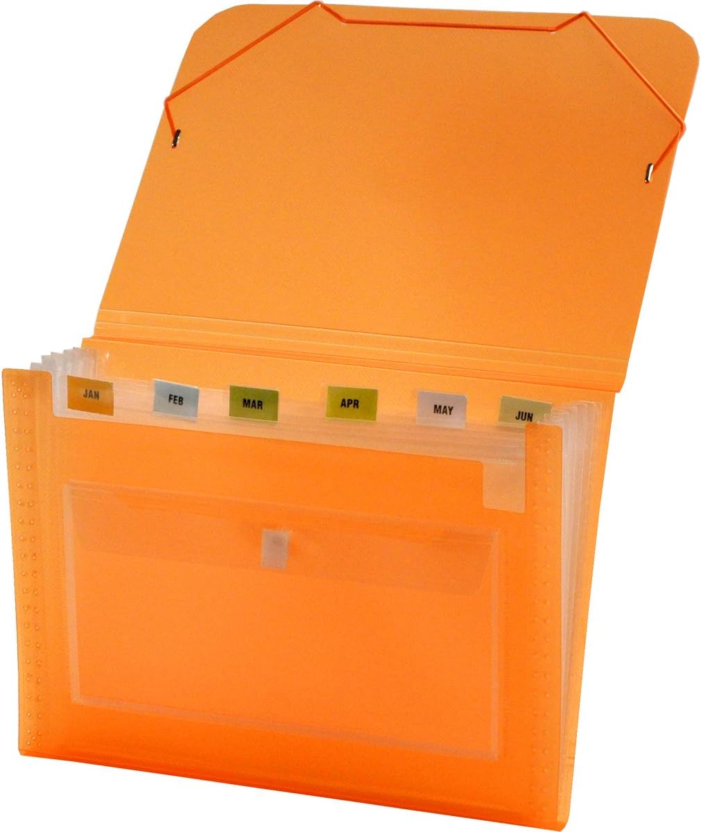 Lion ClearLine 7Pocket Poly Expanding File, Transparent