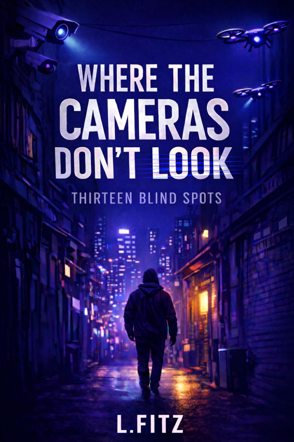 Where the Cameras Don't Look: Thirteen Blind Spots