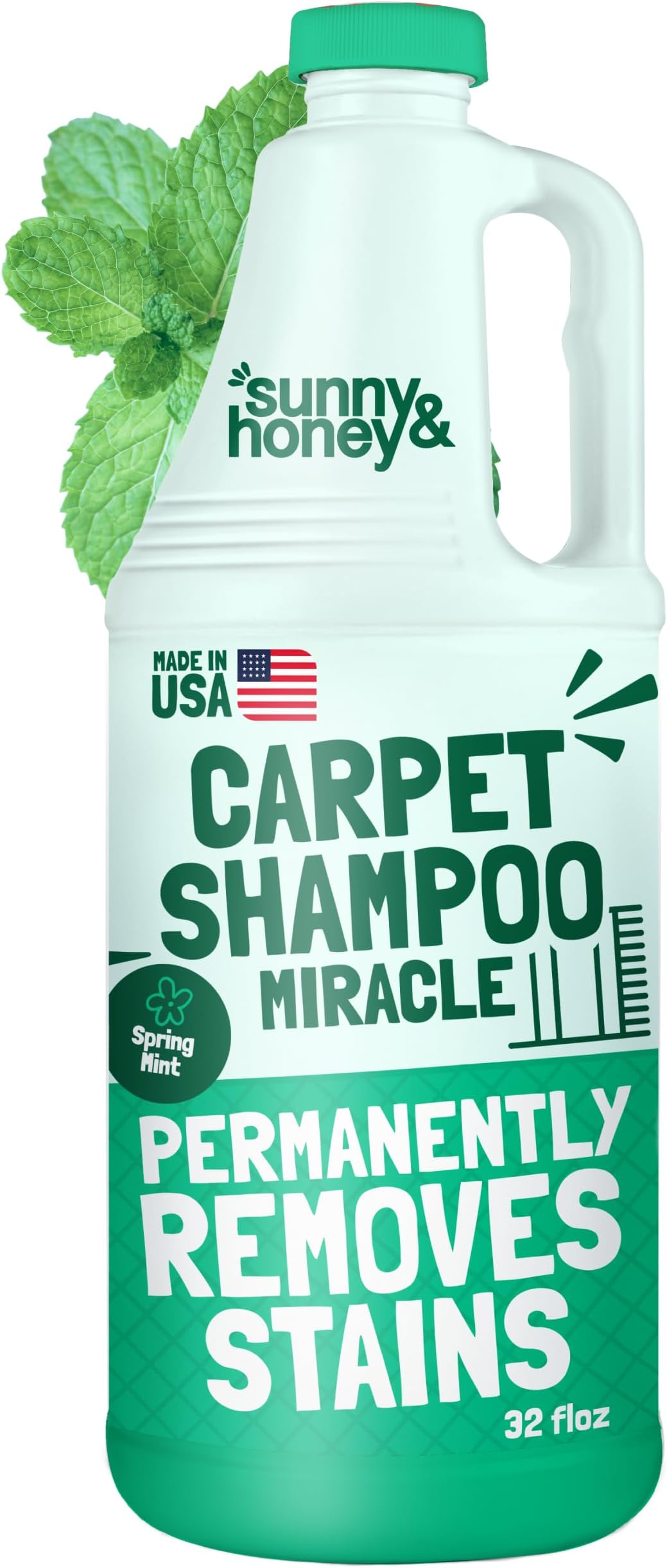 Heavy Duty Carpet Cleaner Solution for Machines - Powerful Stain and Surface Odor Eliminator For New and Deep-set Pet Messes - For Rugs, Couches and Upholstery (32fl oz, Spring Mint)