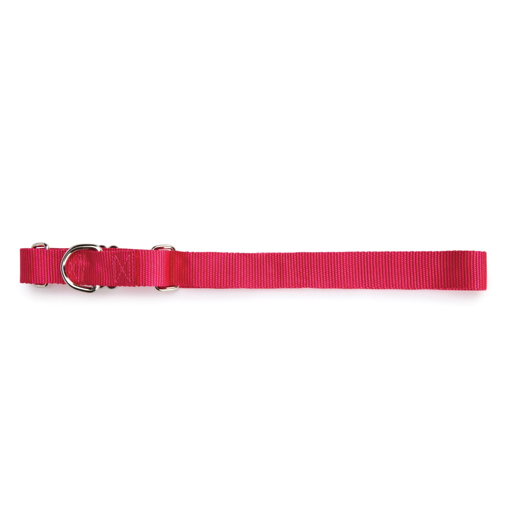 Guardian GearNylon Martingale Dog Collar, Fits Necks 10" to 16", Raspberry