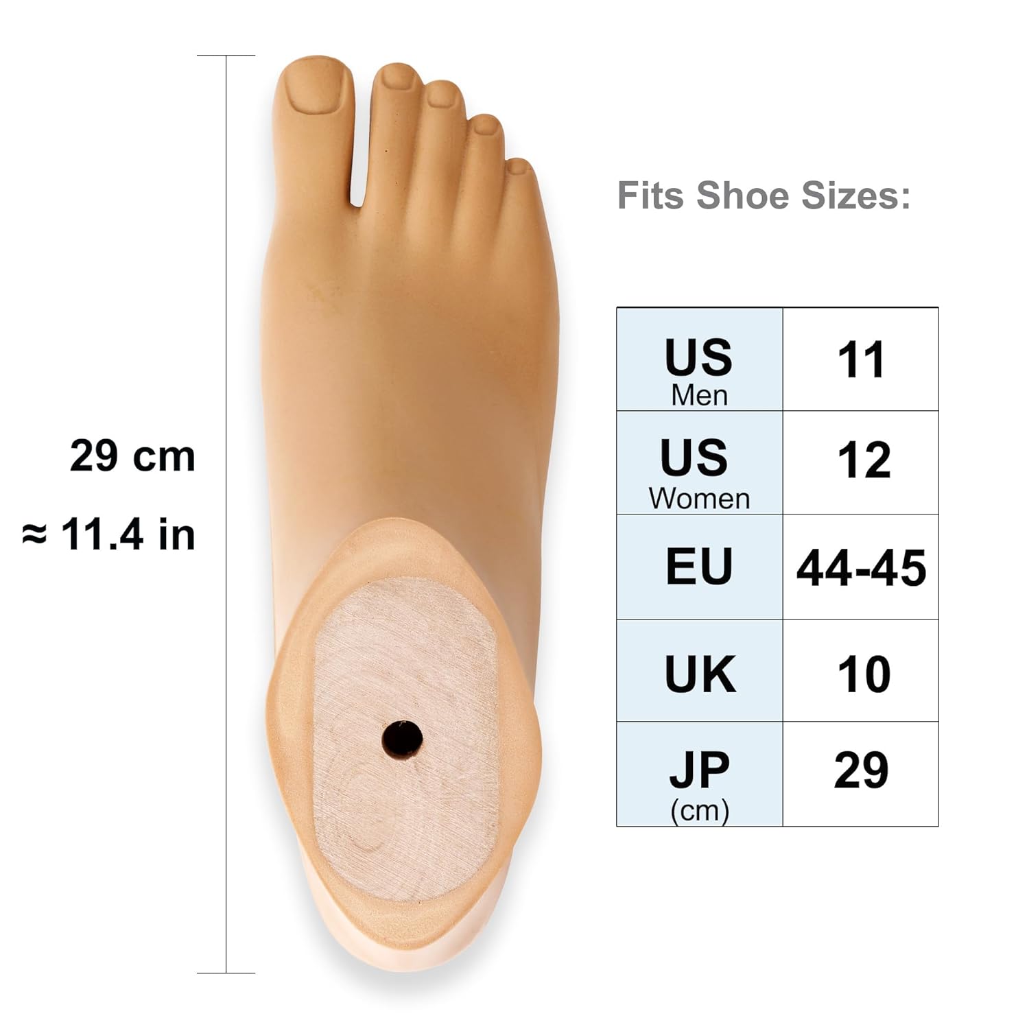 SACH Prosthetic Foot with Split Toe – Beige, Sizes 20–30 cm, M10 Thread (Beige,29CM,Right foot)