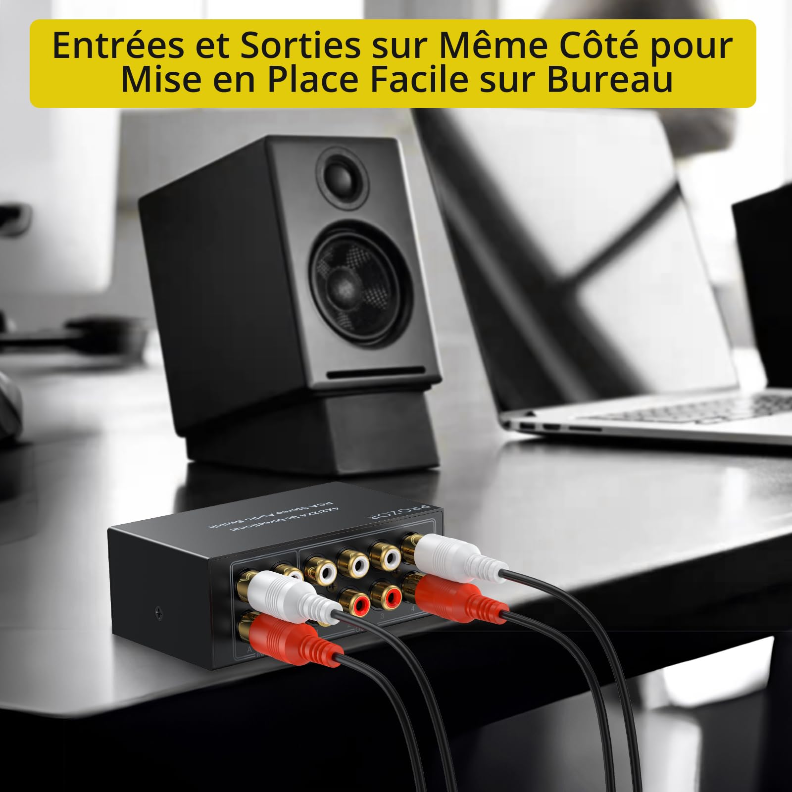 PROZOR Commutateur Audio Bidirectionnel 4x2/2x4 - sans Alimentation & Bouton Off - Boîtier Métallique avec Connecteurs Dorés pour Systèmes Audio