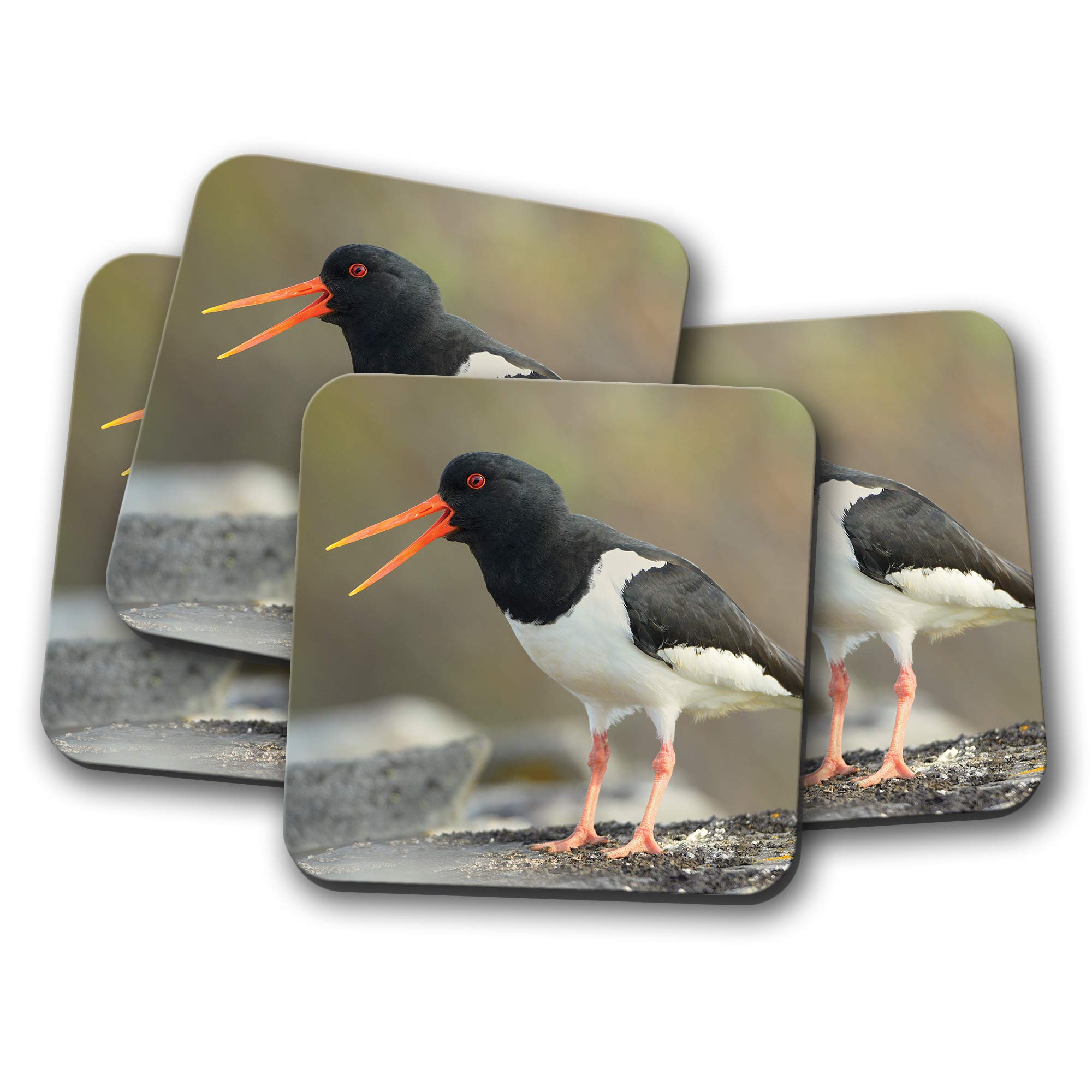 Destination Vinyl Ltd Multicolor 4 Set - Beautiful Eurasian Oystercatcher Coaster - Bird Wild Lover #12745