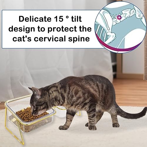 Elevated Double Cat Bowls,5.7" Pets Water and Food Bowl 15°Tilted Transparent Raised Kitten Food Feeding Dishes with Iron Stand Anti Slip Kitty Dishs Rose Gold Bowl Set for Kittiens Small Dogs(2 PCS)