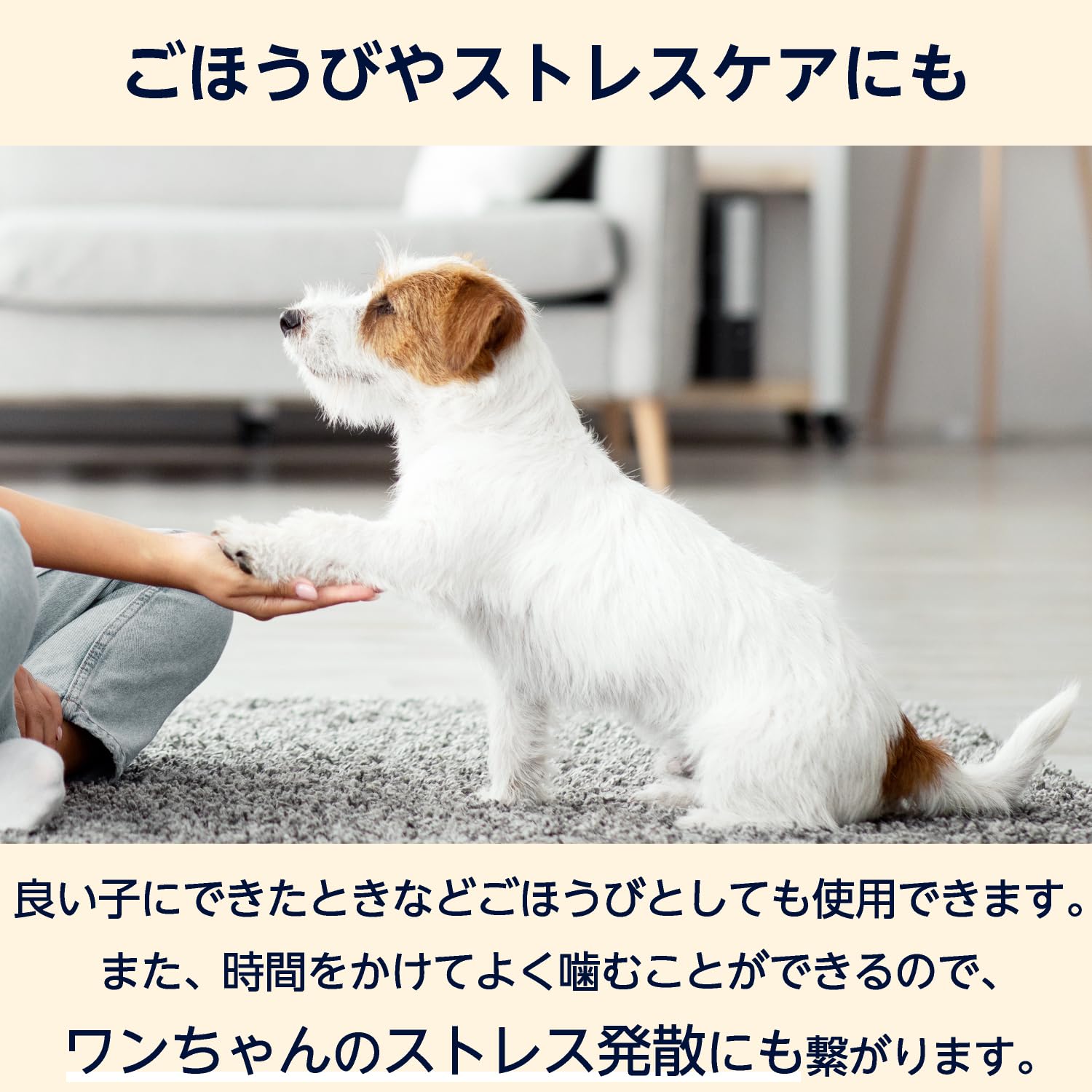 Amazon.co.jp: by Amazon 犬のおやつ 骨型ガム ミルク風味 30本