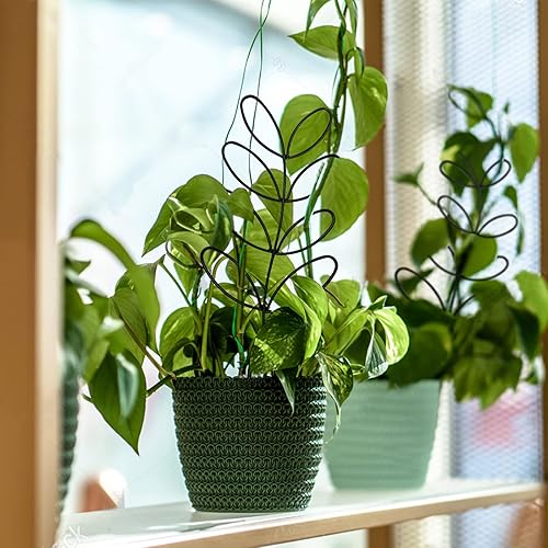Miniatura 9 de Enrejado para plantas trepadoras al aire libre en interiores, mini enrejado de jardín, soporte de metal para plantas en maceta, enrejado apilable