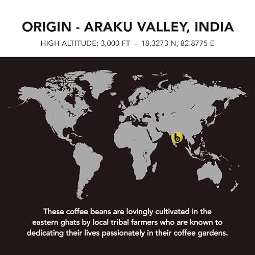 Miniatura 3 de Boomi Premium - Café instantáneo en polvo de origen único, tostado medio, 100% arábica, libre de moho y micotoxinas, lata de 7 onzas (paquete de 1)