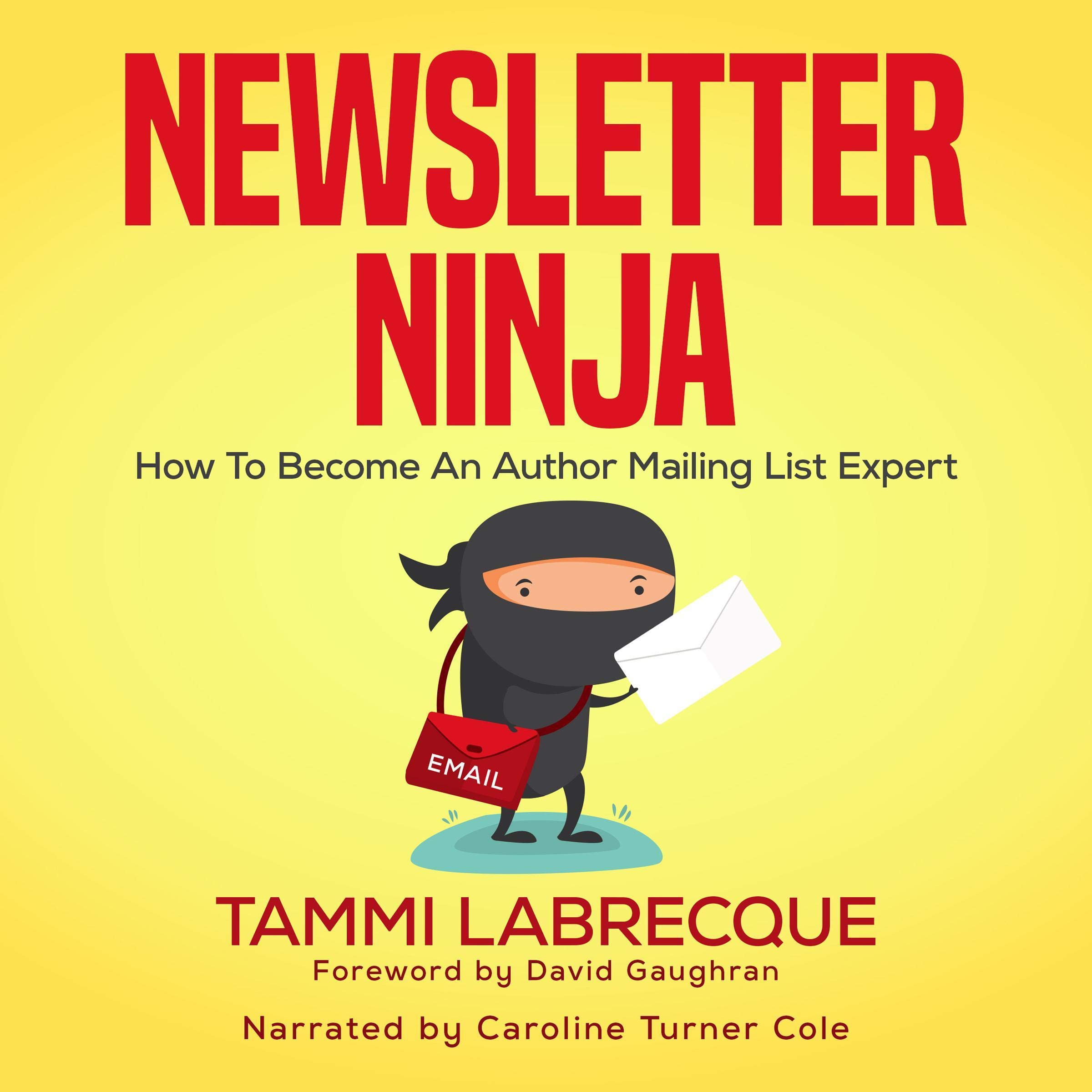 Cover art for Newsletter Ninja: How to Become an Author Mailing List Expert