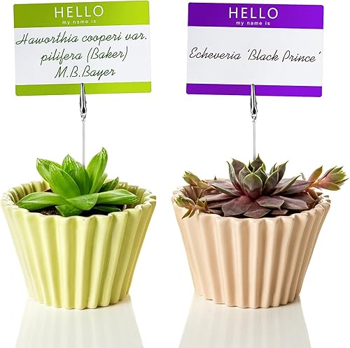 Miniatura 6 de 40 clips de cocodrilo de alambre de metal, abrazadera de cocodrilo de cola larga, soporte de clip para fotos, clips de cocodrilo para manualidades,