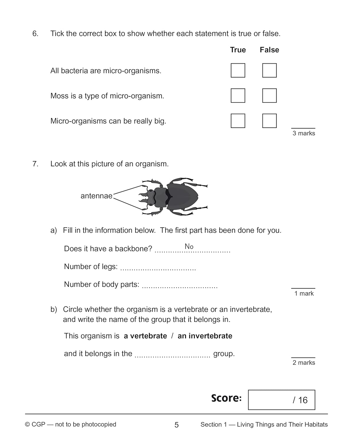 KS2 Year 6 Science 10-Minute Tests (CGP Year 6 Science) 9 715NRTQuFML. SL1500