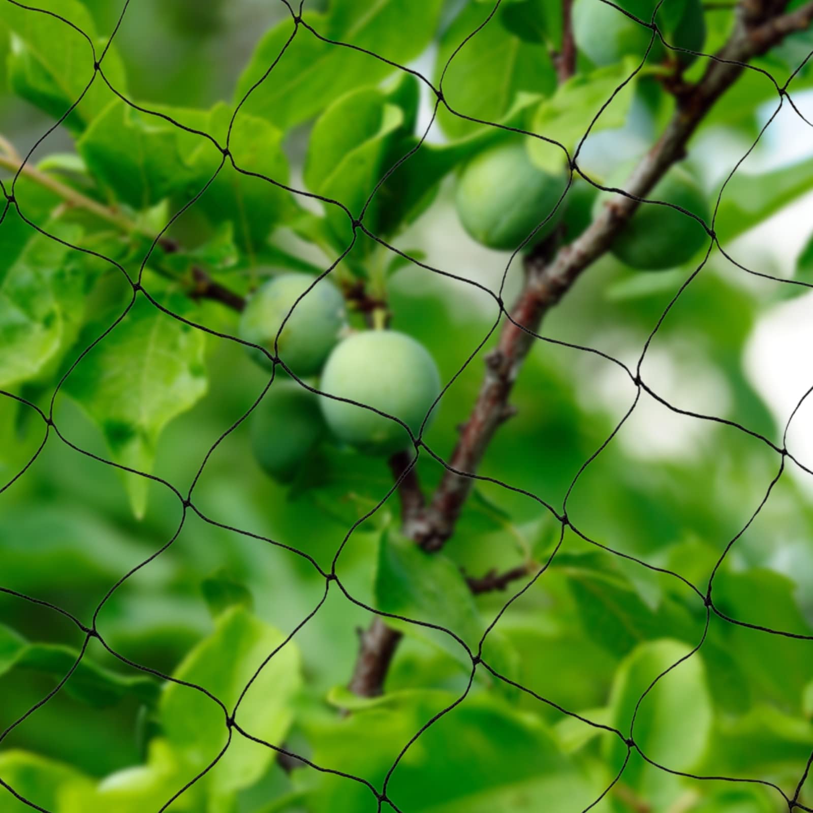 Rete di protezione per uccelli, a maglia stretta, per stagno, per foglie, con ganci, fascette, da giardino, per esterni, aiuole rialzate, per alberi da frutto, protezione da uccelli, galline, piccioni