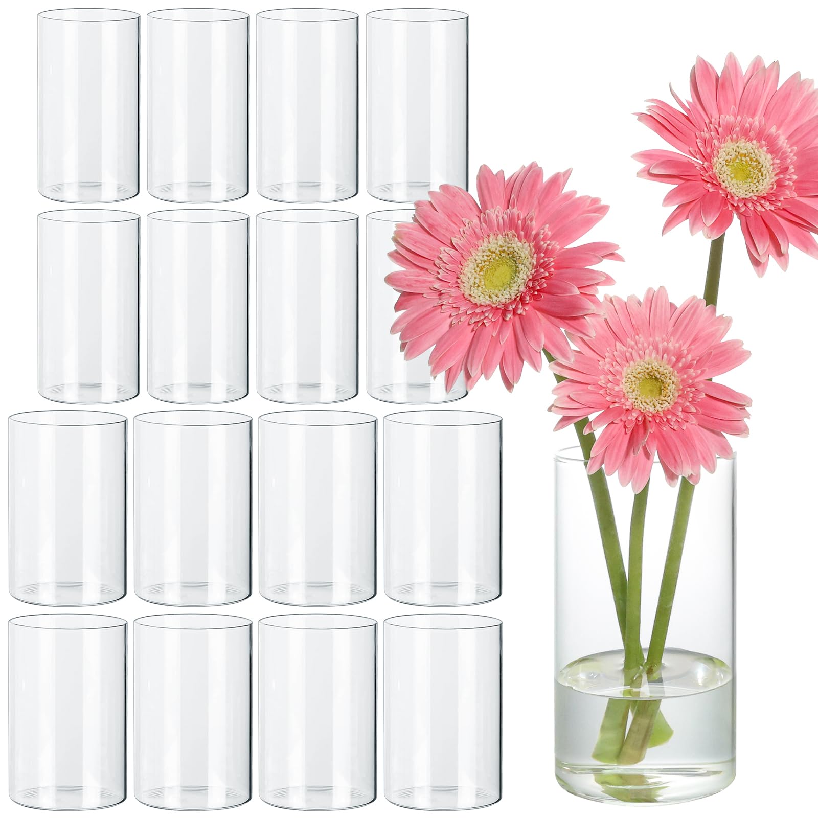 16Pcs Glass Cylinder Vase for Centerpieces 2 Diameters Clear Glass Flower Vases Bulk, Hurricane Candle Holder Small 6 Inch Floral Vases for Table, Floating Candle Vases for Wedding Home Décor