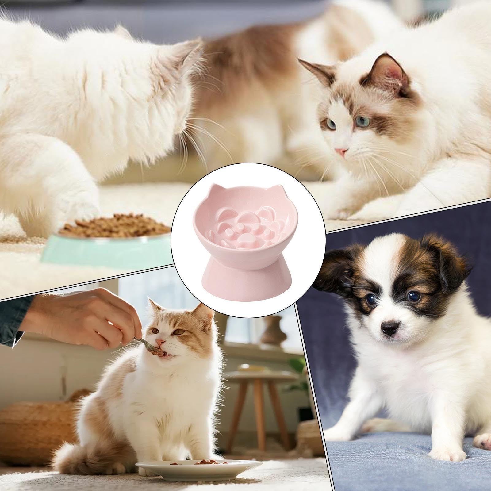 Sopraelevata Per Gatti Mangiatoia Lenta Anti-Ingordigia in Ceramica | Alta Per Il Cibo Dei Gatti Adatto A Patio Appartamento Soggiorno Zona Pranzo Cucina Casa Negozio Di Animali