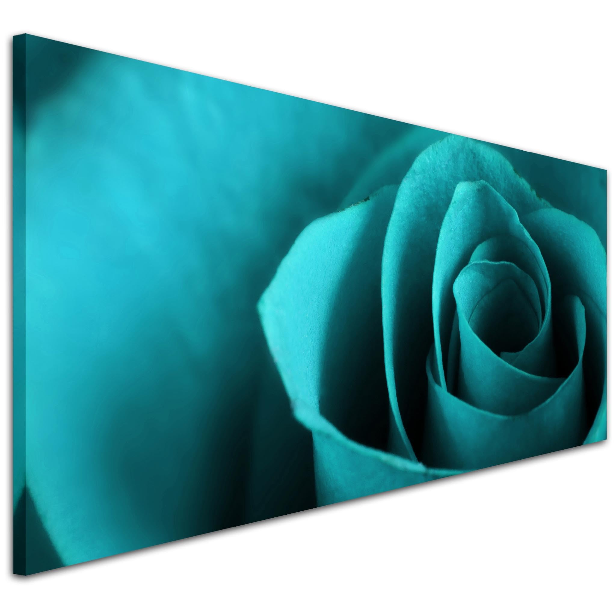 Wallfillers Modern Teal Canvas Pictures of a Rose Flower - Turquoise Floral Wall Art - 1109-118x49cm