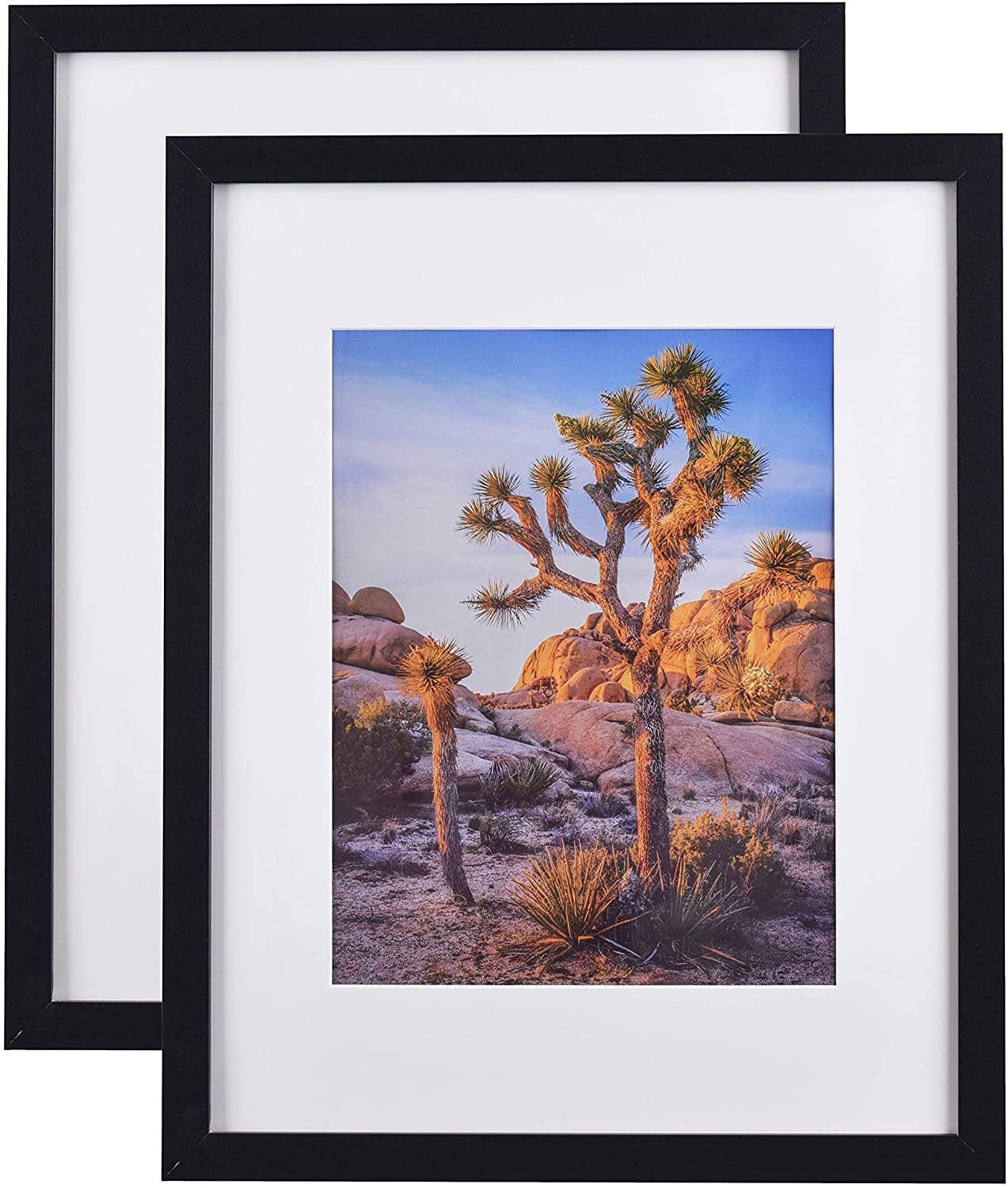 A PLUS MAX Black Wooden 20 inches x 24 inches Picture Frames with Tempered glass for Photo size 16”x20”, horizontal/vertical display. 2 pack.