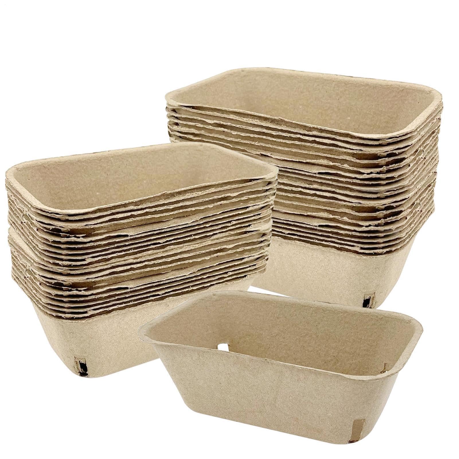 Contenitori per bacche, 50 pezzi, 1 pinta