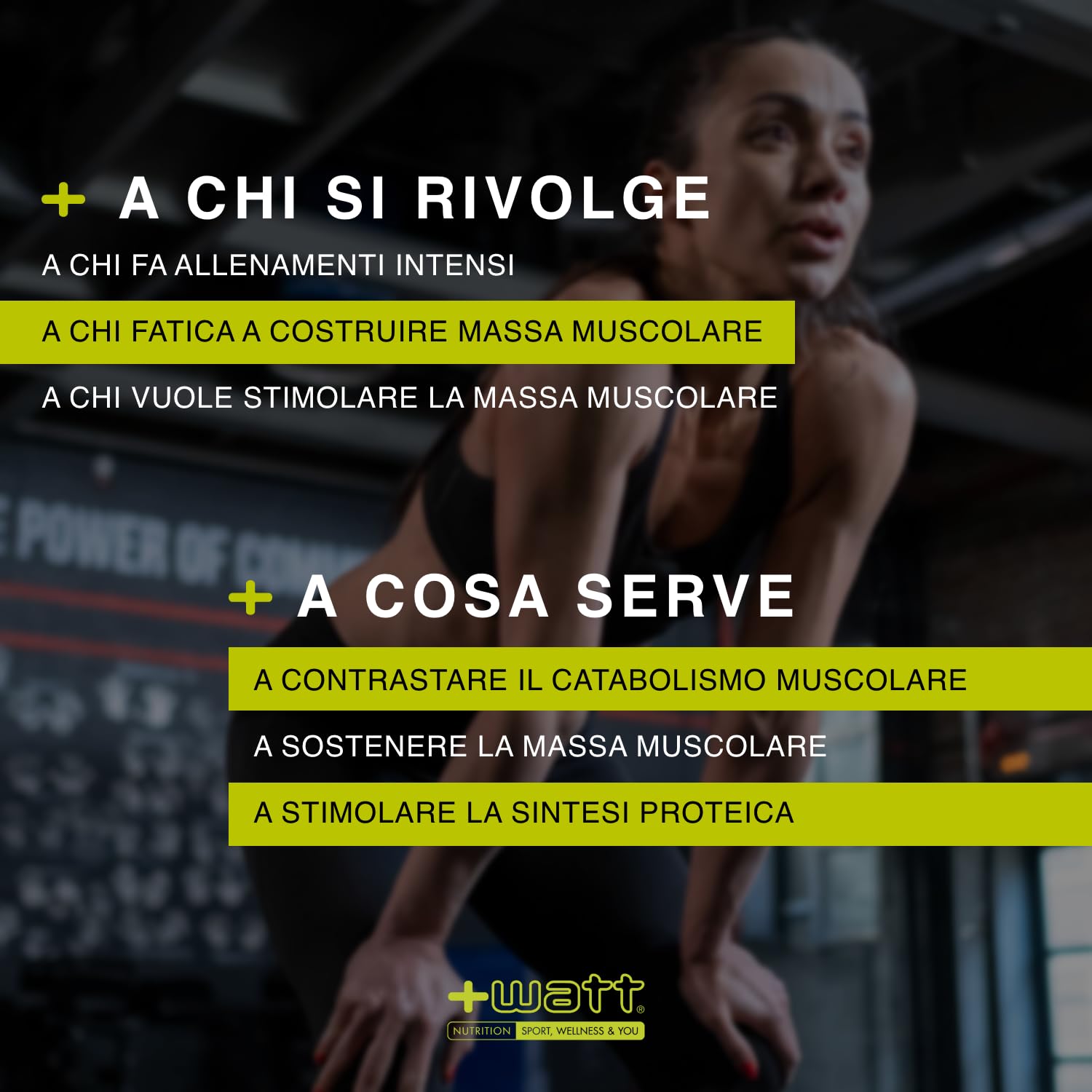 BCAA+ 8:1:1 Leucine Aminoacidi Ramificati, Arancio - 300 g