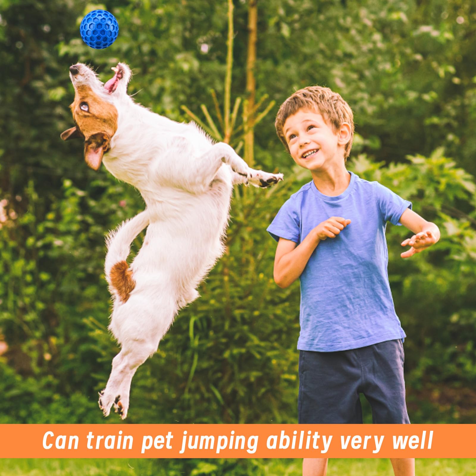 Indestructible Dog Ball - Image 4