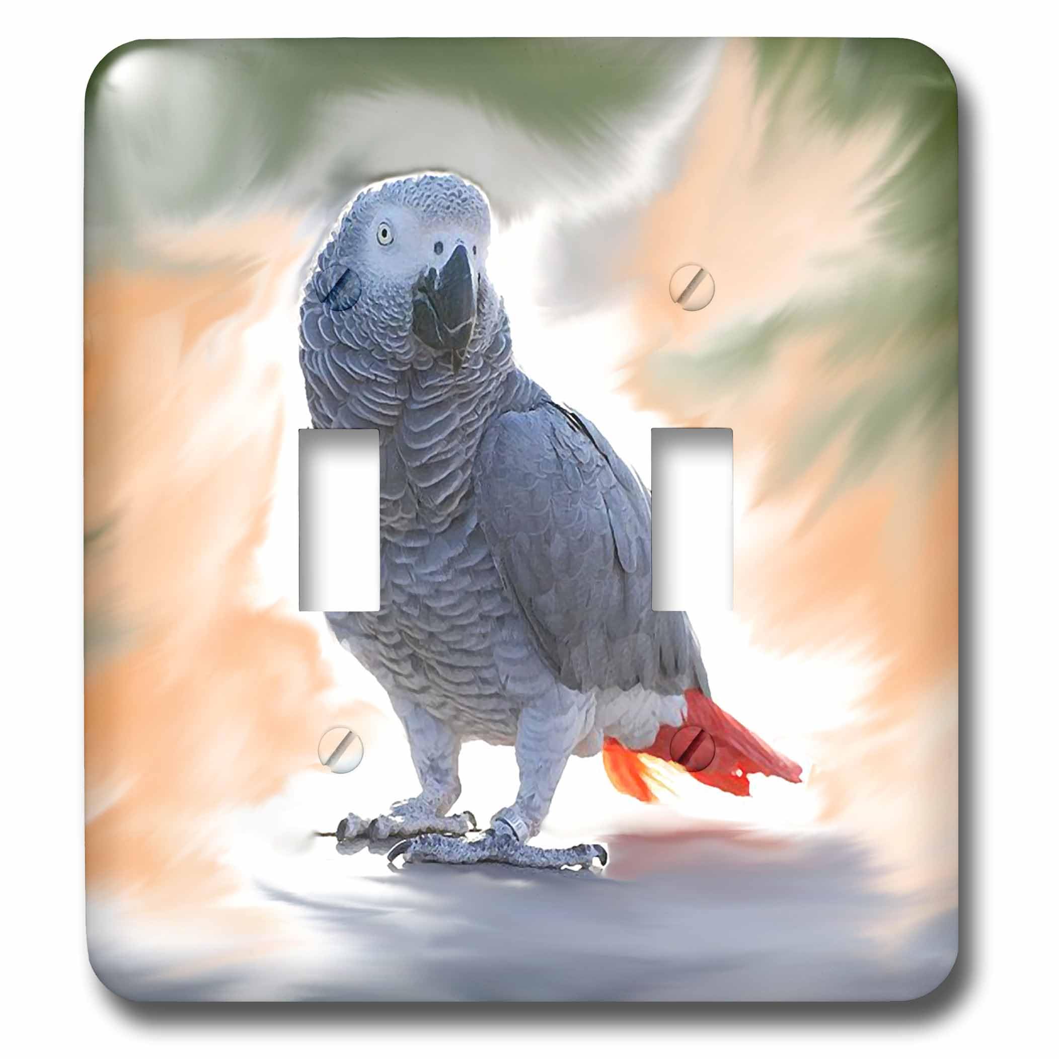 Interrupteur double perroquet gris africain 3dRose lsp_4030_5