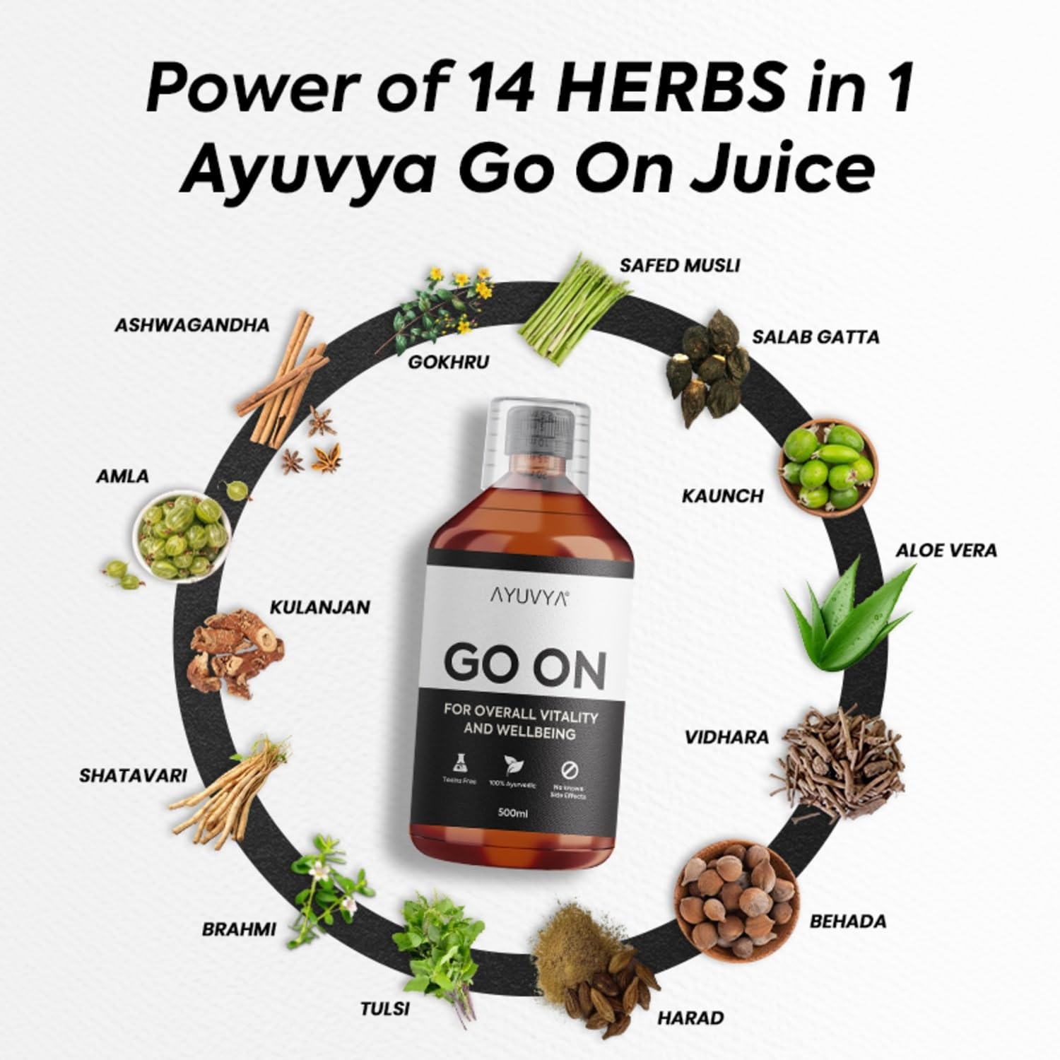 Ayuvya Go On Ayurvedic Juice | Helps in stamina & performance, improves mental and physical well-being | Enriched with Ashwagandha, & Kulanjan 500 ML (Pack of 1) 1