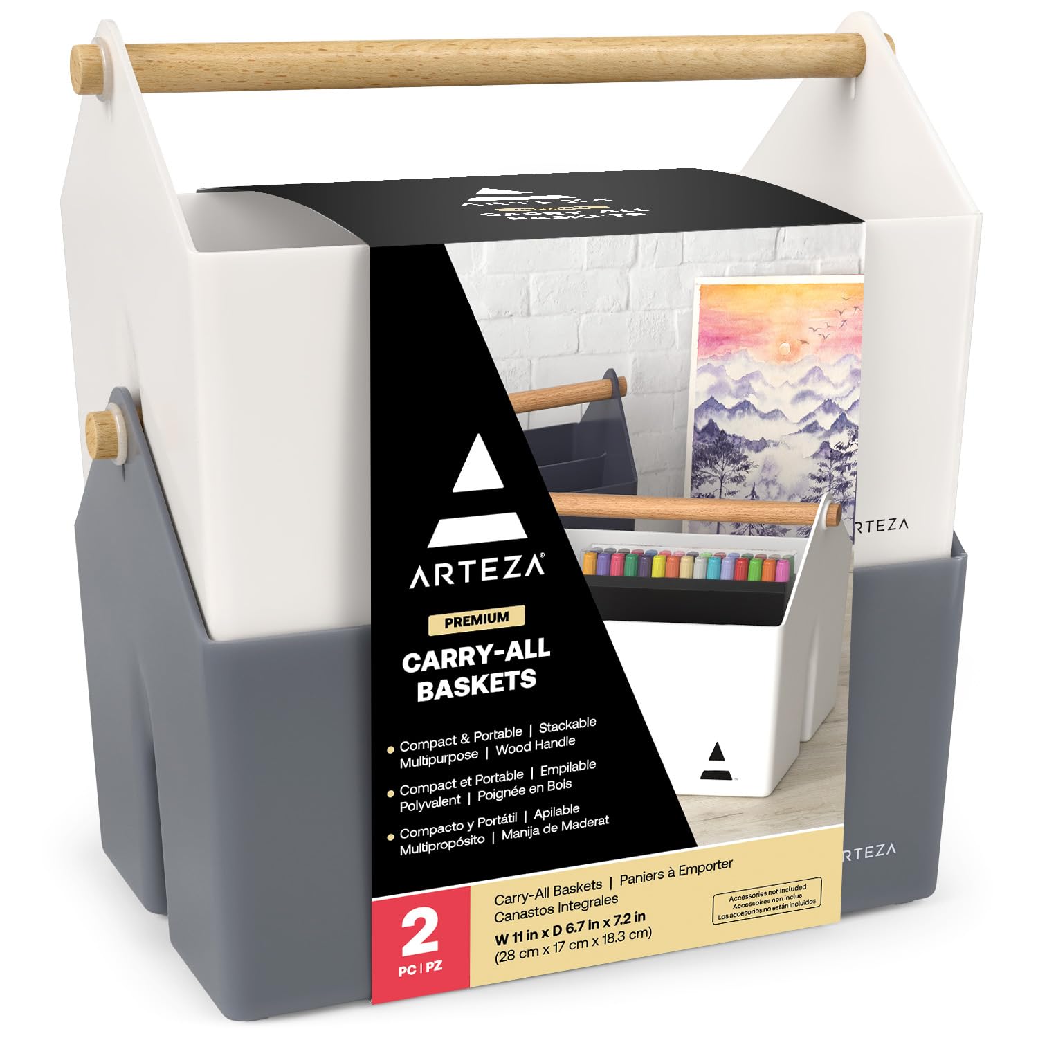 Amazon.com: ARTEZA Plastic Portable Craft Storage Organizer, Pack