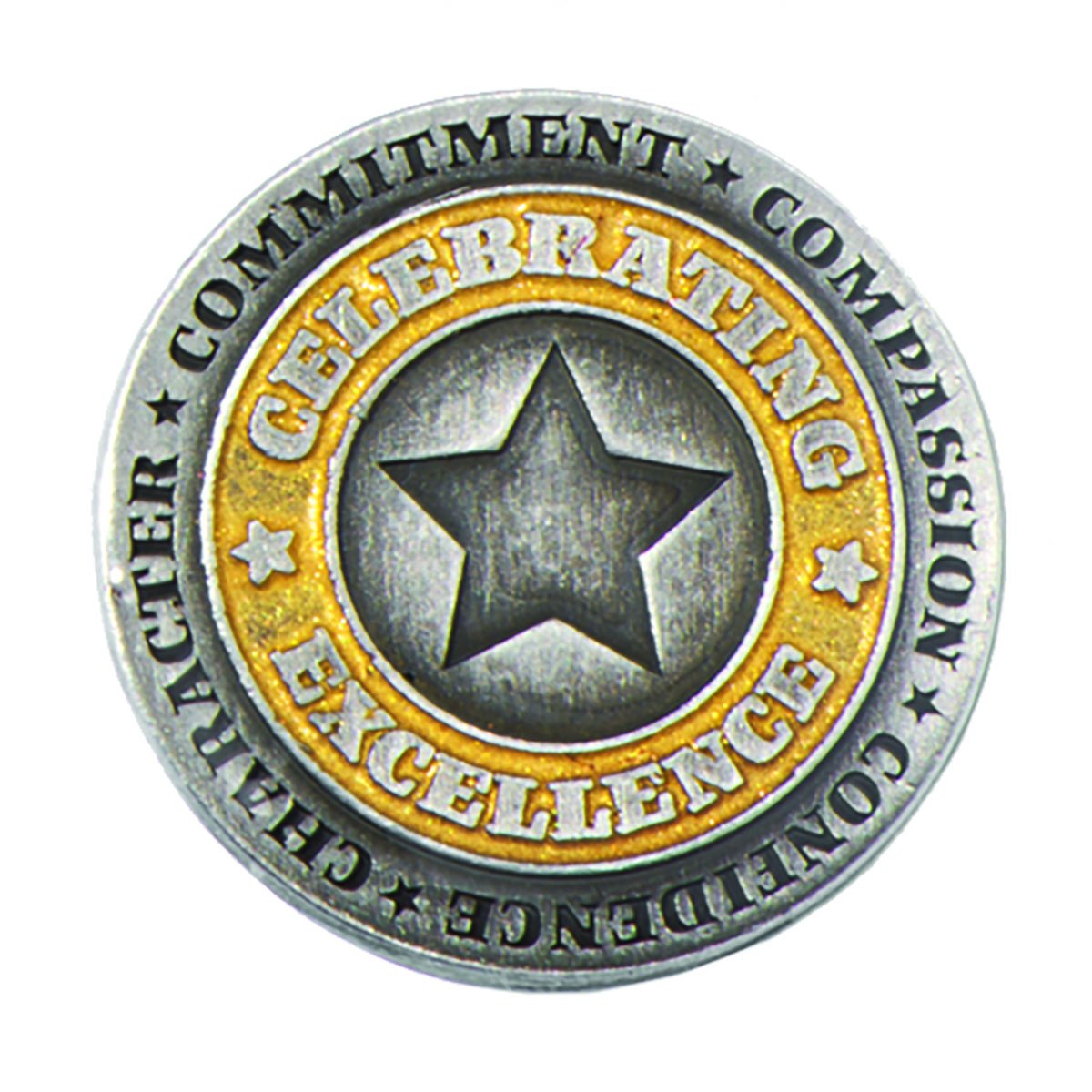 TCDesignerProductsSilver & Gold Celebrating Excellence Star Award Lapel Pin, 12 Pins