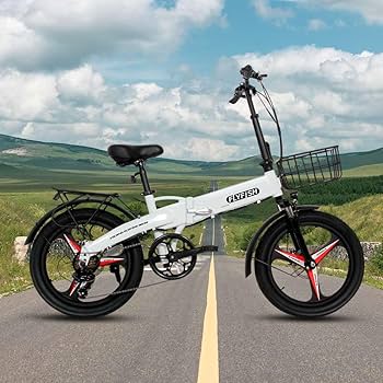 Amazon | FLYFISH 型式認定車両 免許不要 電動 アシスト 自転車 Amazon | FLYFISH 型式認定車両 免許不要 電動 アシスト 自転車